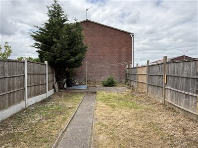 Picture 8